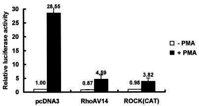 FIG. 8.