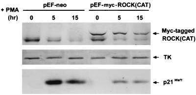 FIG. 9.