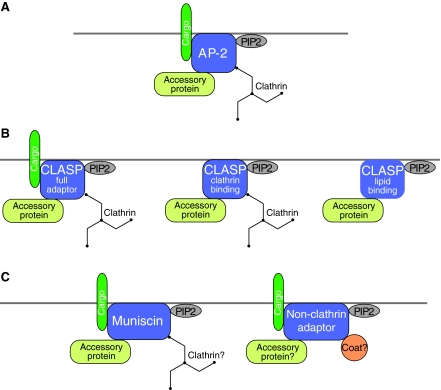 Fig. 2.