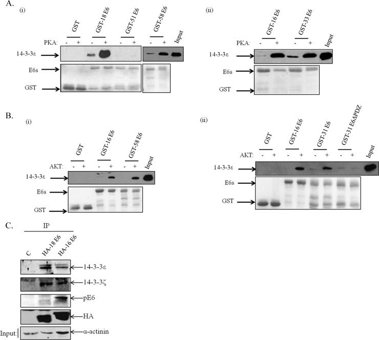 FIG 6