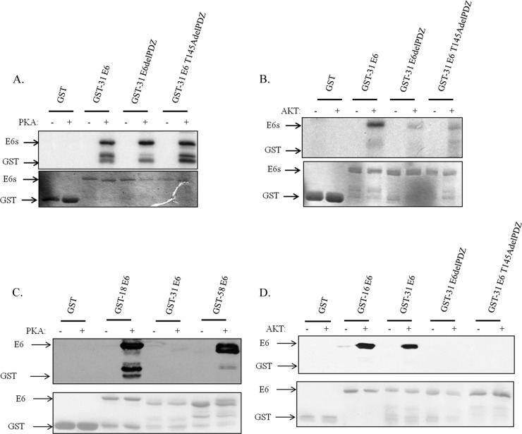 FIG 3