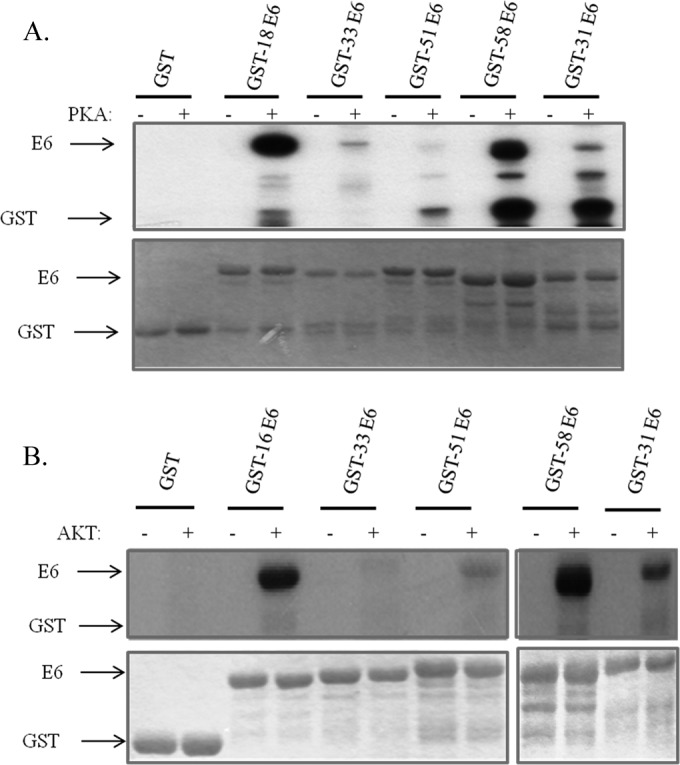 FIG 2