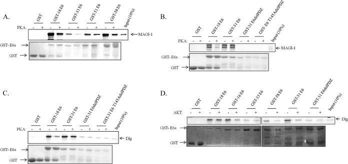 FIG 4