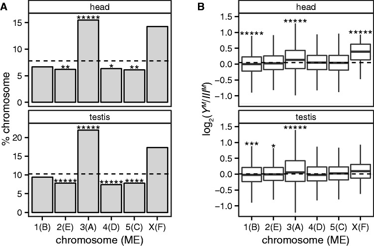 Fig. 2.—