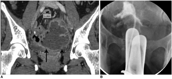 Fig. 8