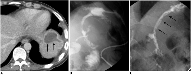 Fig. 10