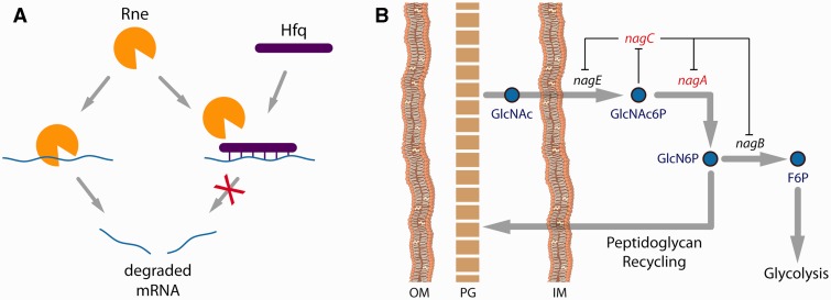 Fig. 4.