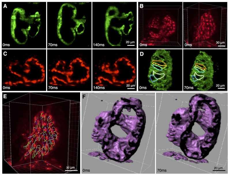 Fig. 4