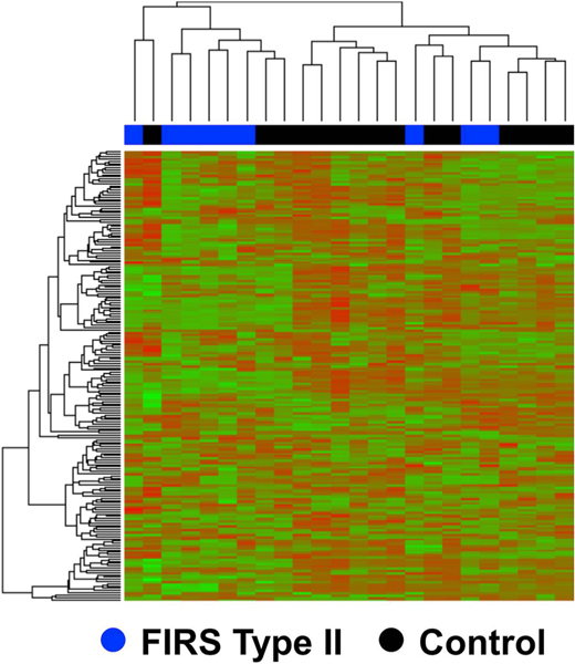 Fig. 10.