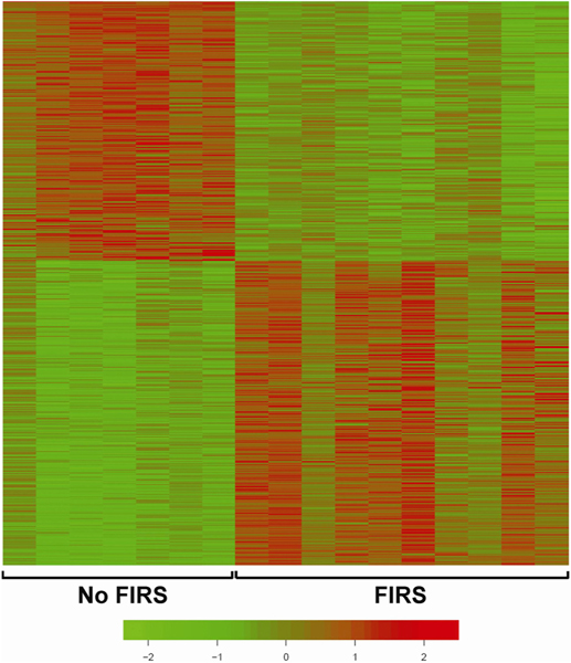 Fig. 8.