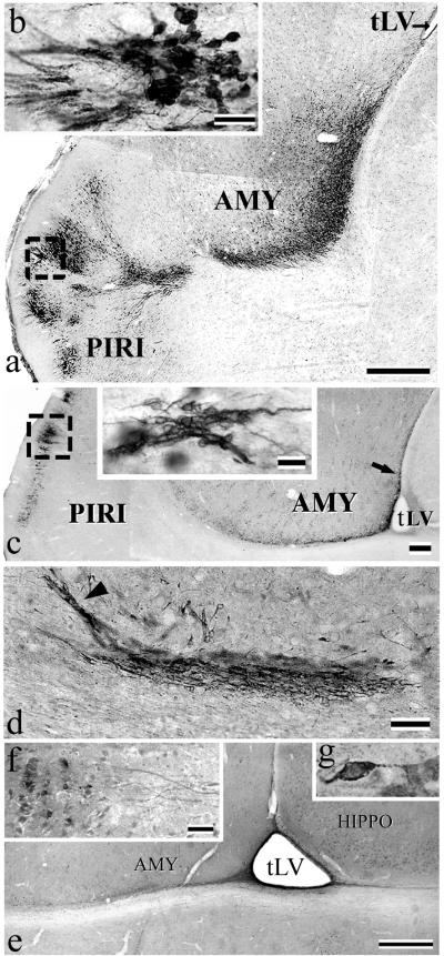 Fig 4.