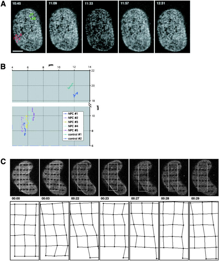 Figure 4.