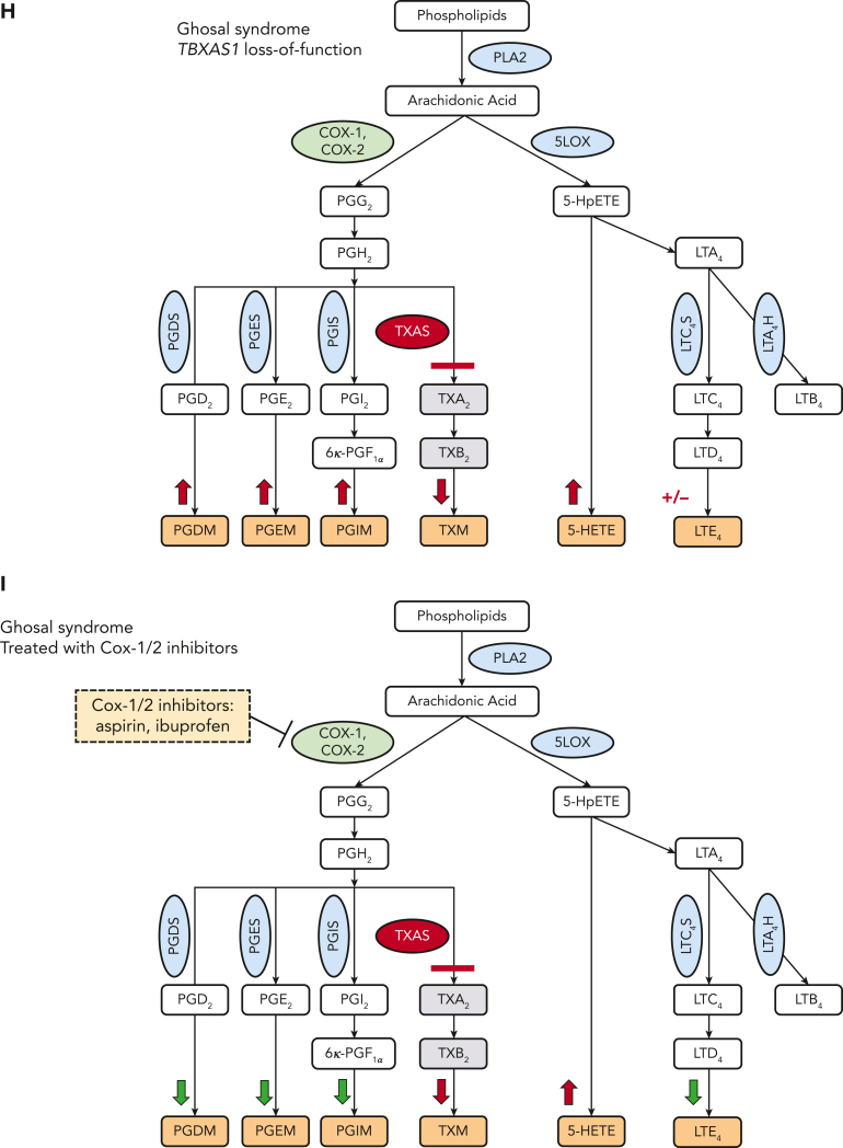 Figure 2.