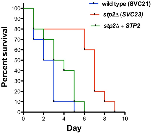 Figure 10