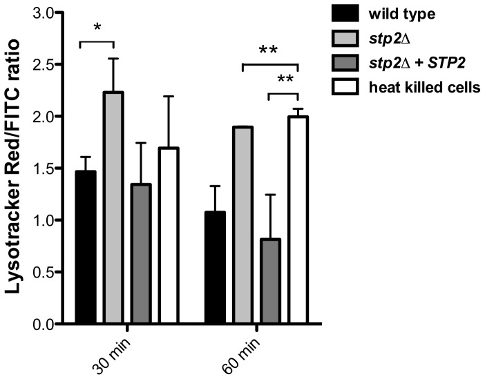 Figure 7