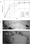 Fig. 6