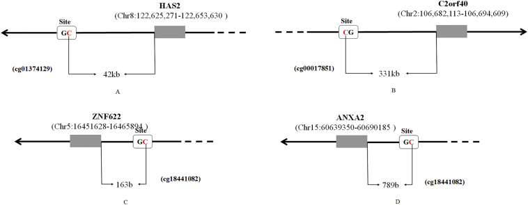 Fig. S1