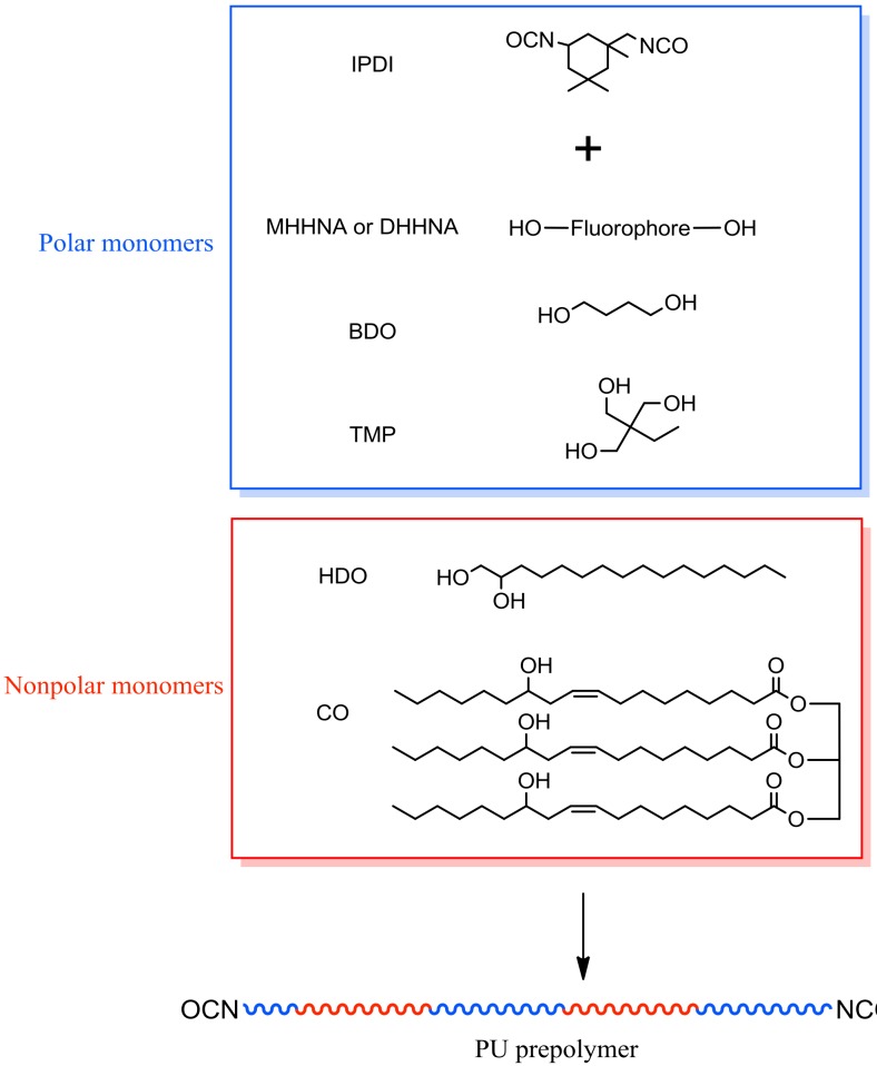 Scheme 2