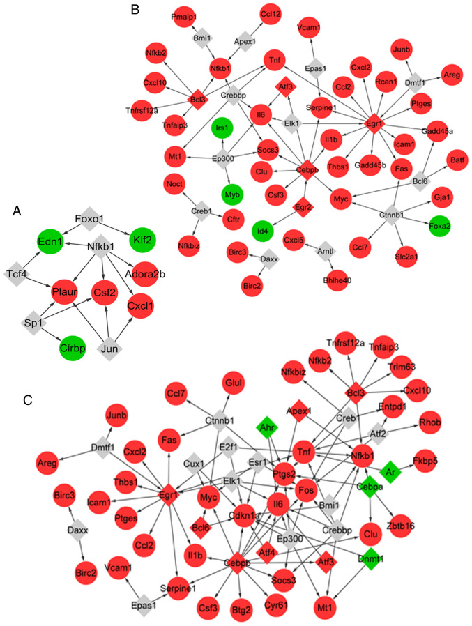 Figure 4.