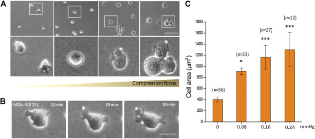 FIGURE 3