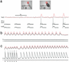 Fig. 3.