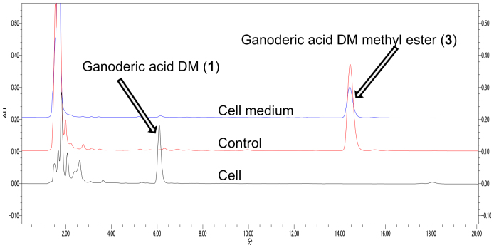 Figure 2