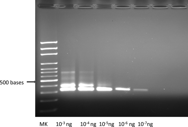 Figure 3.