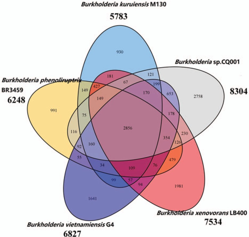 Figure 4