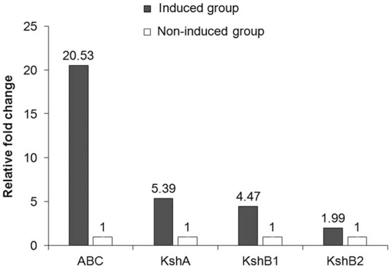 Figure 6