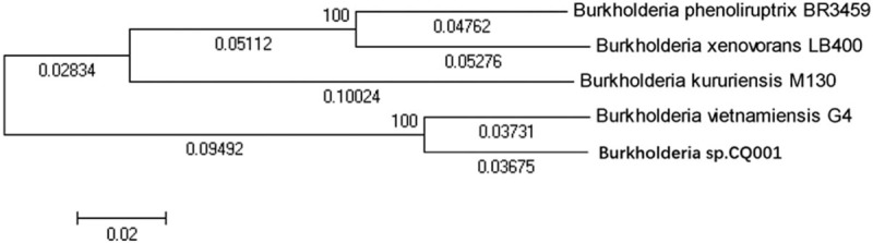 Figure 5