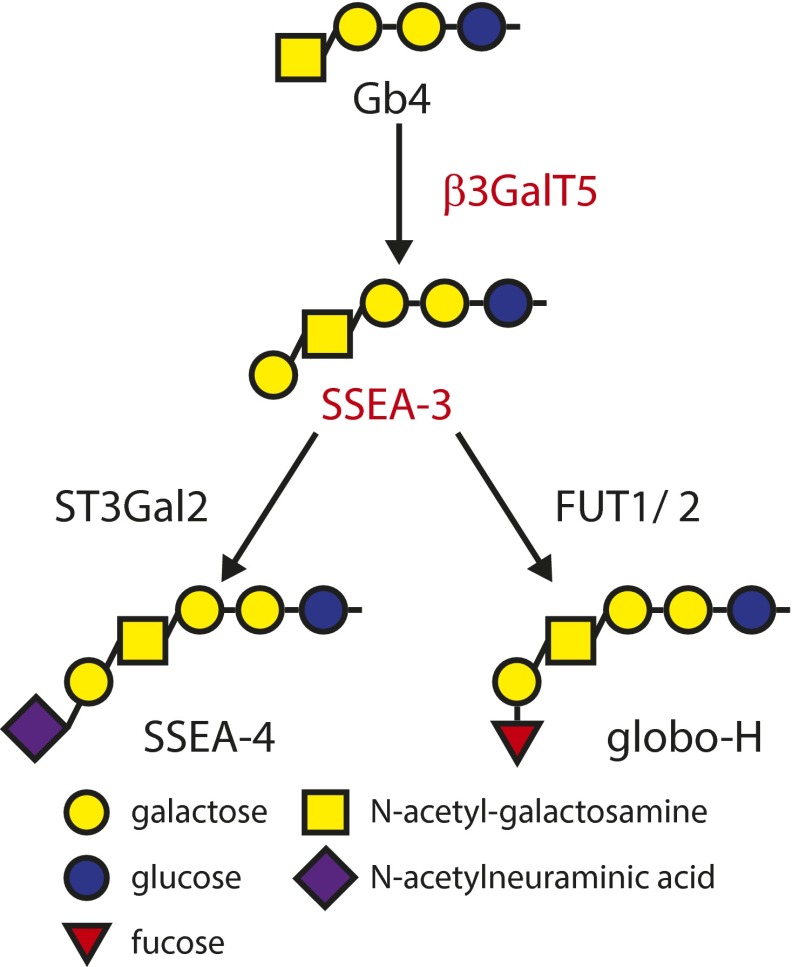 Fig. S3.