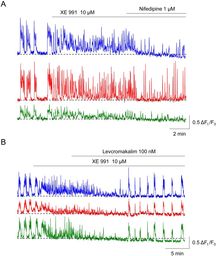 Fig. 6.