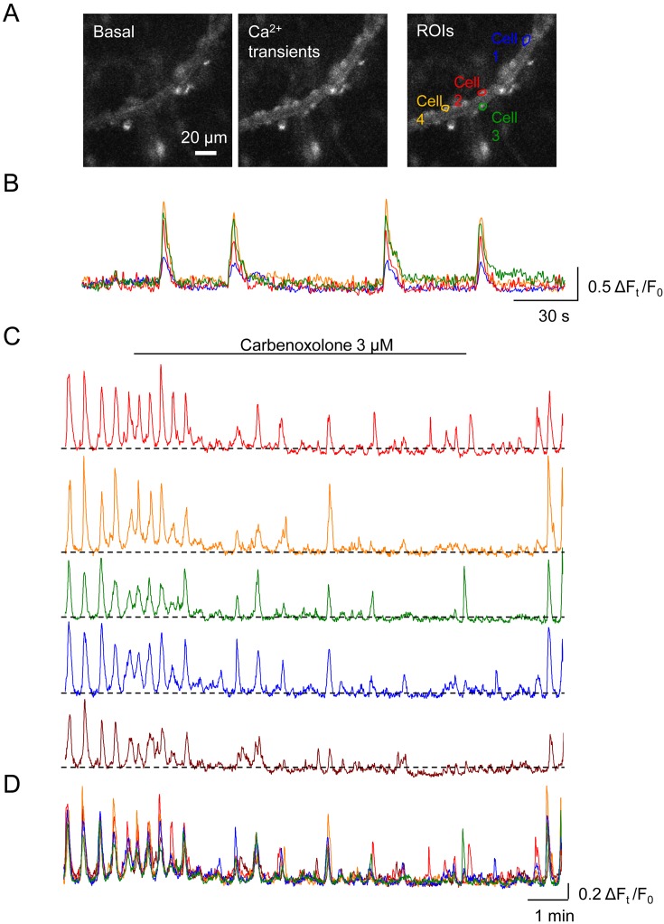 Fig. 4.