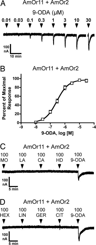 Fig. 5.