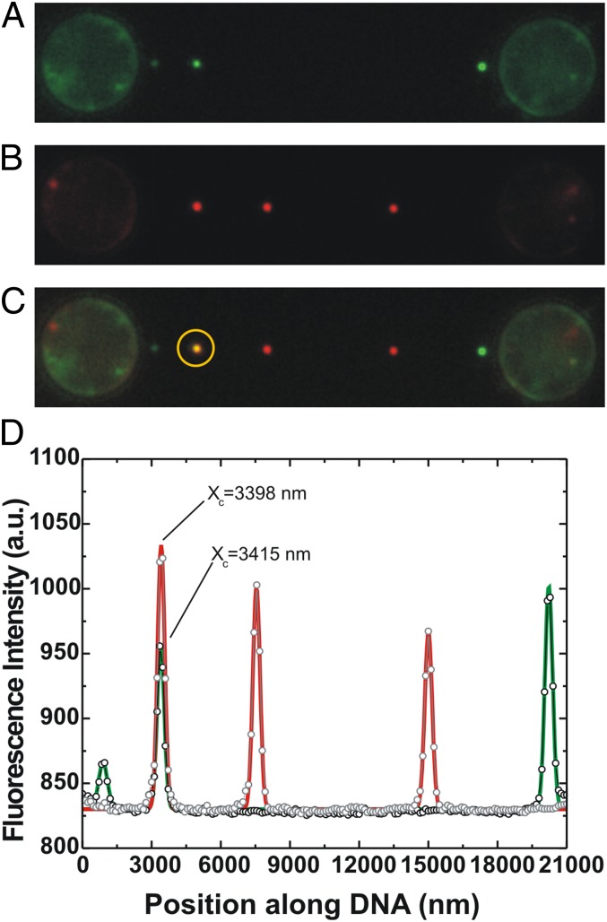 Fig. 2.