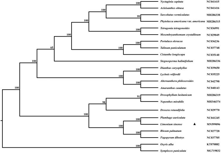 Figure 1.