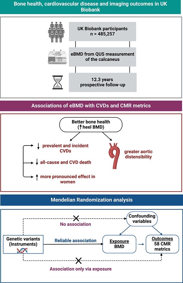 Graphical Abstract