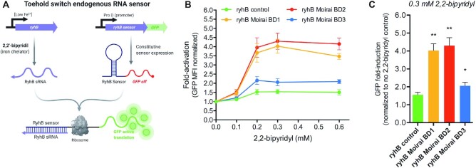 Figure 4.