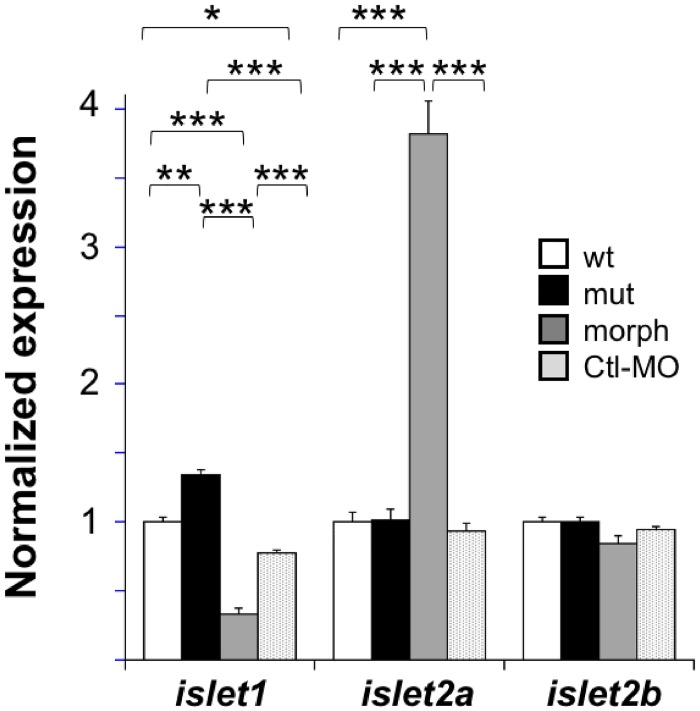 Fig 7