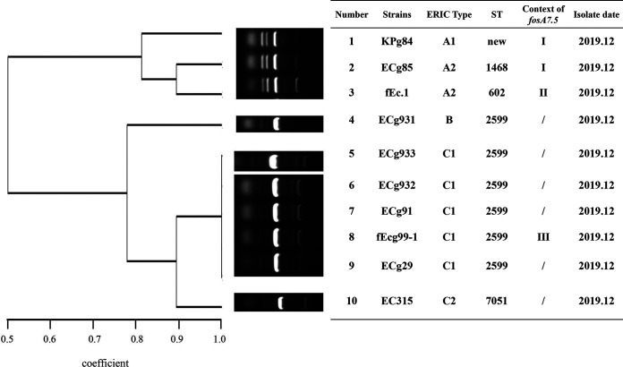 FIG 3