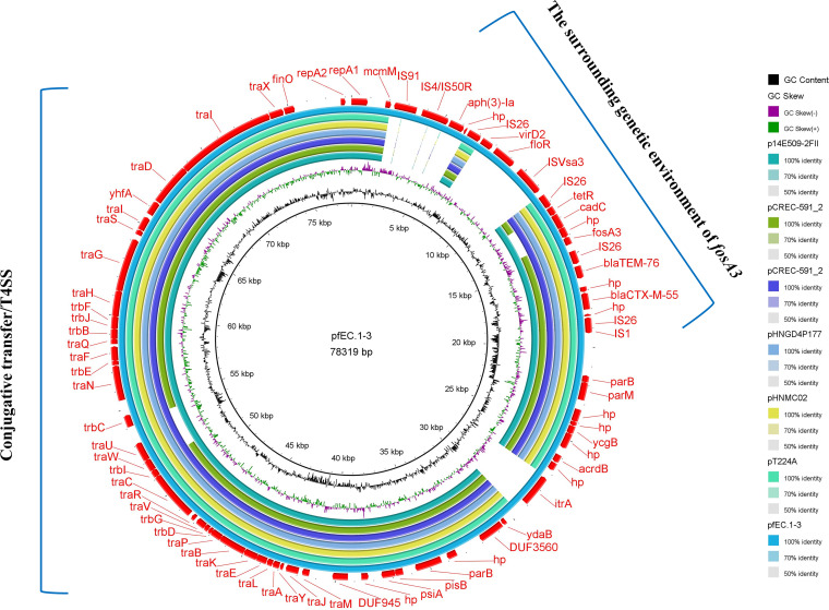 FIG 6