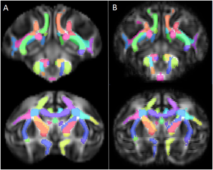 Figure 12