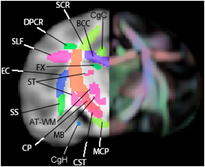 Figure 6