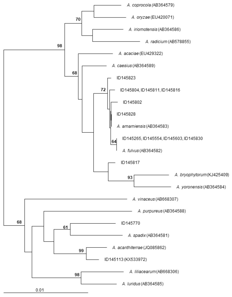 Figure 6