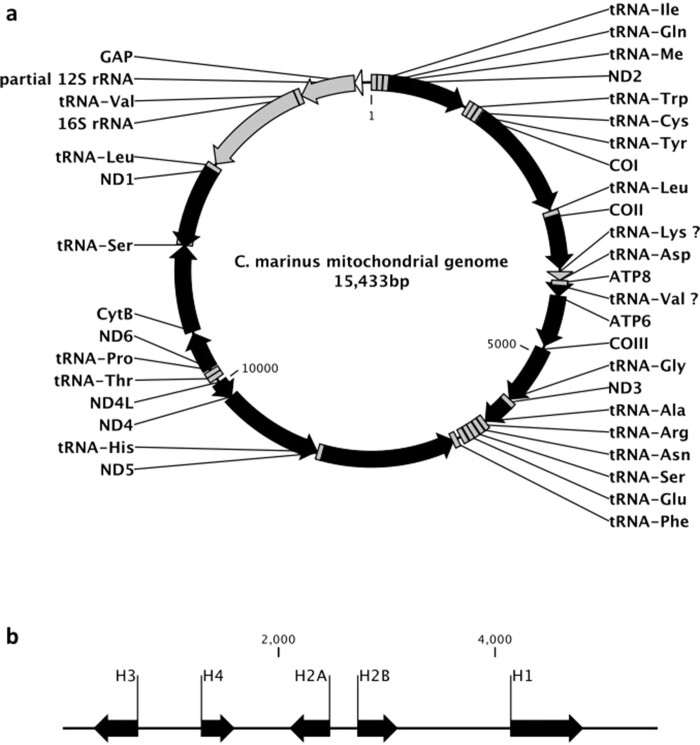 Extended Data Figure 10