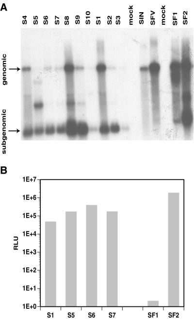 FIG. 1