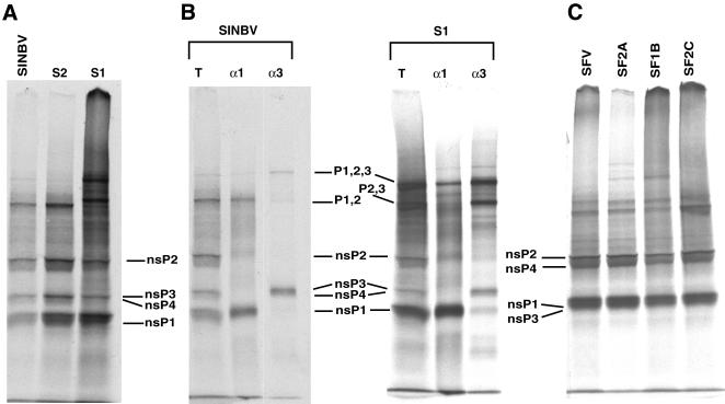 FIG. 5