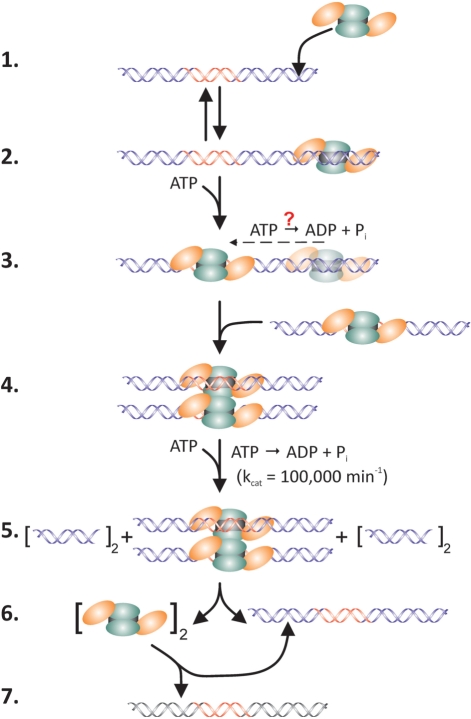 Figure 5.