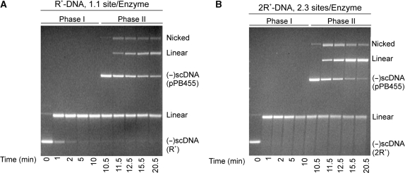 Figure 1.