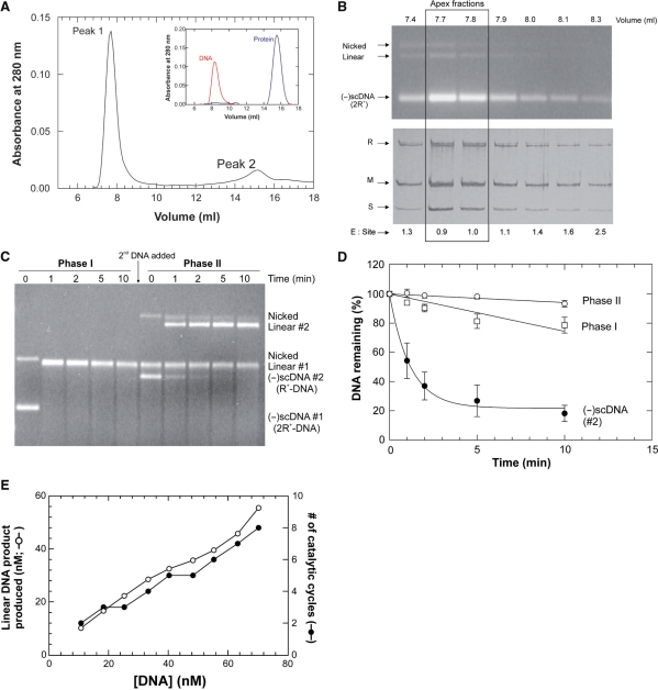 Figure 2.